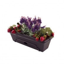 18427 - garden up classic planter with plants